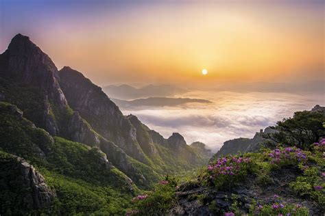 Sunrise Morning Mountain Clouds Nature Landscape South Korea Wildflowers Valley Mist