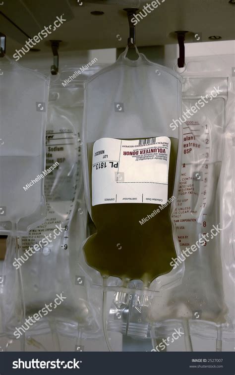 Bag Of Platelets From A Blood Donation Stock Photo 2527007 Shutterstock