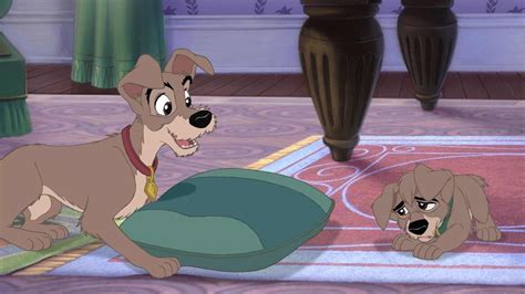 Lady And The Tramp Ii Scamps Adventure 2001 Backdrops — The Movie
