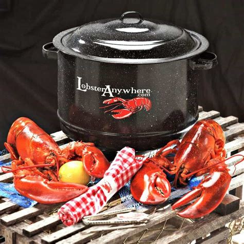 Buy Lobster Cooking Pot Classic Pot To Boil Steam Live Lobster
