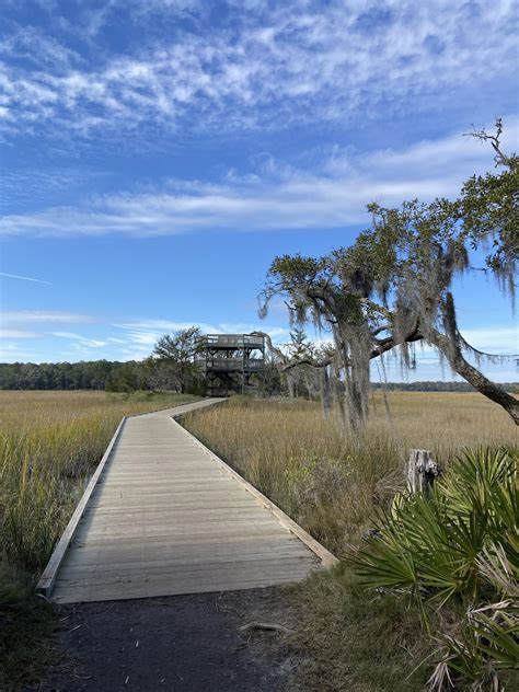 Took This The Other Day At Skidaway Island State Park Rsavannah