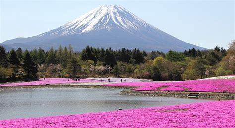 Everything about modern and traditional japan with emphasis on travel and living related information. Yamanashi Prefecture