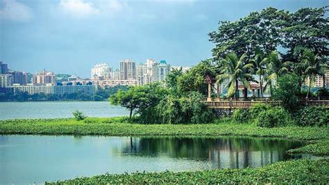 History Of Powai Lake Lake Mumbai City Tourist