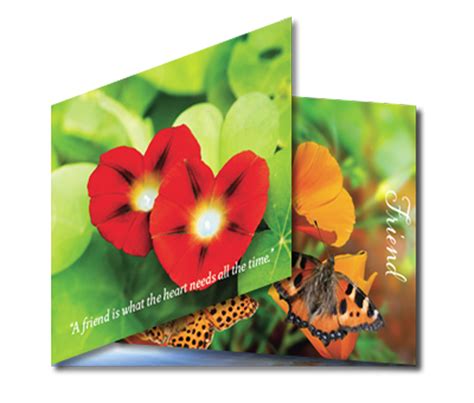 Specialty Cards Friend Hope Through Healing Publications