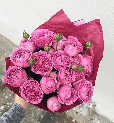 We did not find results for: بقوكيه ورد ازرق - Beautyroseskw ×'×⃜×•×•×™×⃜×¨ Ø¨ÙˆÙƒÙŠÙ ...