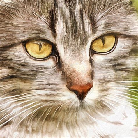 Cute Gray Cat Cat Canvas Painting Cat Artwork Cute Cat