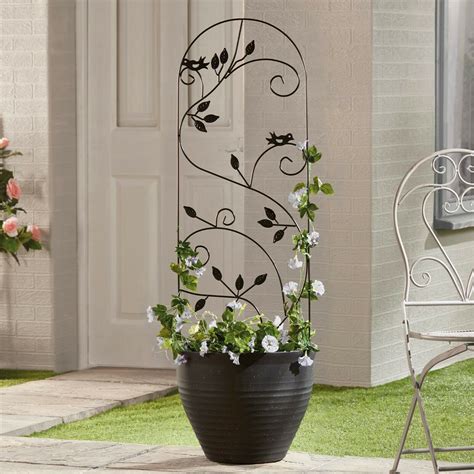 Extending the growing season in many great lakes states' gardens is essential if quality vegetables and seed are to be successfully grown. Garden Gear 1.2M Metal Climbing Plant Support Decorative Obelisk Black Frame NEW | eBay