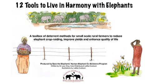 Elephants And Bees › 12 Tools To Live In Harmony With Elephants