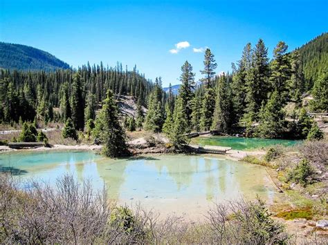 Hike To The Ink Pots In Banff National Park Travel Banff Canada