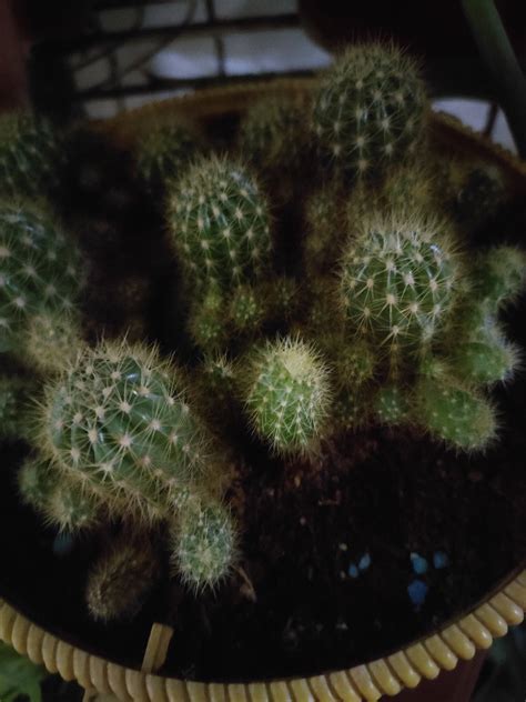 个人中心 - 老虎社区