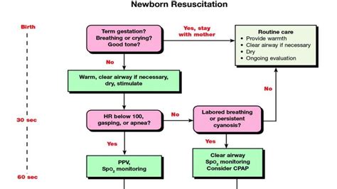 Neonatal Resuscitation Programnals Latest Guidelines 7th Edition