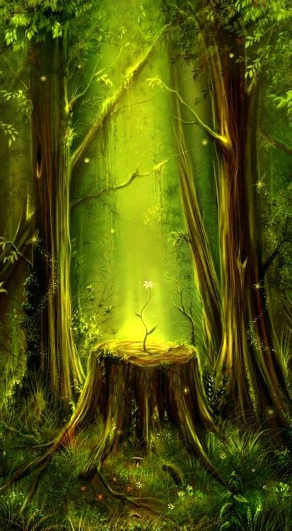 Magical Forest Fantasy Places Fantasy World Fantasy Forest Magic
