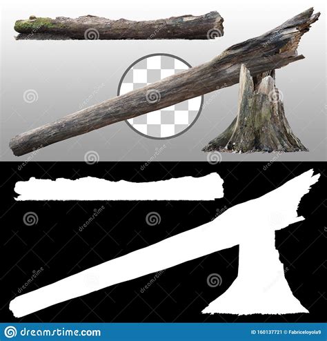 Broken Tree And Old Stump Stock Image Image Of Branch 160137721