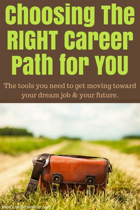 Dream Job Series Finding The Right Career Path Live Grow Write