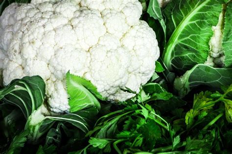 Blumenkohl