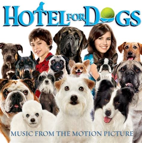 Movie Night At The Village Features Hotel For Dogs