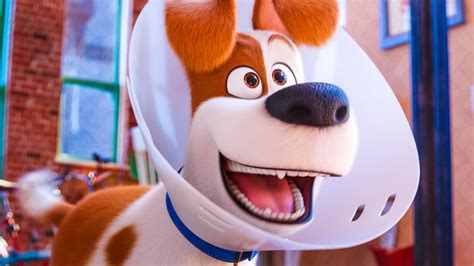 Are your pets doing when you're not home? Max And Duke Go On A Roadtrip - THE SECRET LIFE OF PETS 2 ...