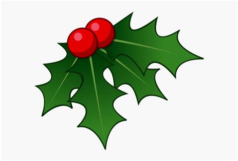 Common Holly Christmas Clip Art Transparent Background Holly Clipart