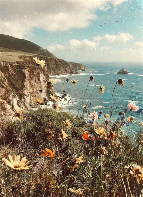 An Old Photo Of The Ocean With Flowers Growing On Its Shore And In