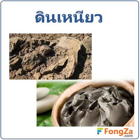 โรคไข้หูดับ เป็นโรคที่เกิดในสุกร ซึ่งเกิดจากเชื้อแบคทีเรีย ที่ปกติจะมีอยู่ในหมูเกือบทุกตัว ฝังอยู่ในต่อมทอนซินของตัว. ดินเหนียว สมุนไพรแร่ธาตุ ช่วยดับพิษอักเสบ แก้มึนชา ...