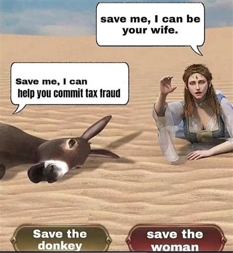 The Best Donkey Memes Memedroid