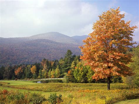 43 Vermont Autumn Wallpaper Wallpapersafari