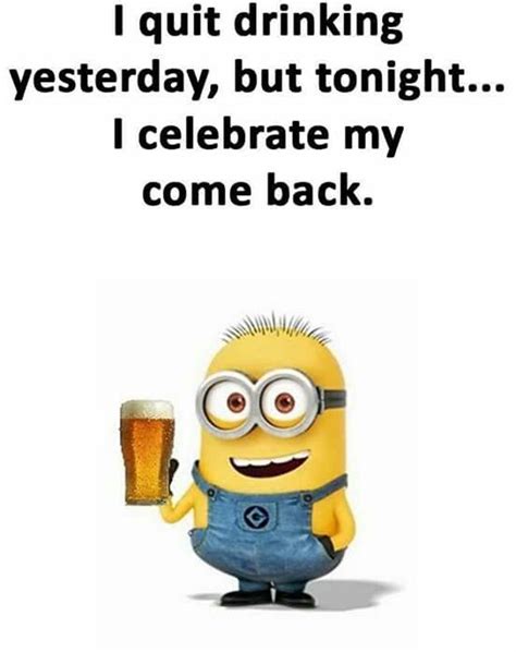 Pin By Marina Kiseljak On Funny Minion Quotes Minions Minions Images