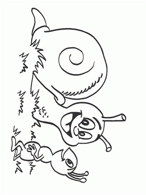 Hugo L'Escargot Dessin Dauphin à Coloriage À Imprimer Hugo L Escargot