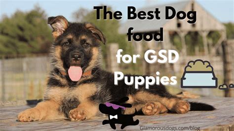 The Best Dog Food For German Shepherd Puppy In 2021 Buyers Guide