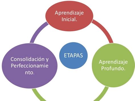 Etapas Del Aprendizaje Y Perfeccionamiento Tècnicotàctico