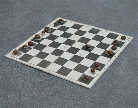 Three Dimensional Chess Board Artofit
