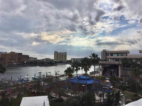 View From 3rd Floor Pool Area Picture Of Tampa Marriott Waterside