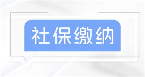 佛山灵活就业人员社保2023年最新缴费标准如下（全文） 社保网