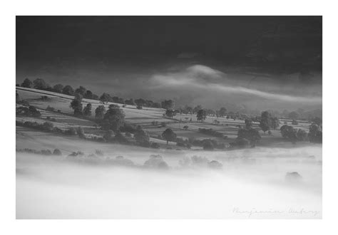 Trees In The Mist Ben Waters Flickr