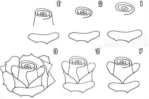 Easy Rose Drawings Step By Step Stepstep Drawing Flowers Rose Drawing