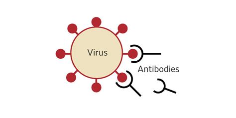 How Mutations Made The Coronavirus Better At Infecting Us Wsj