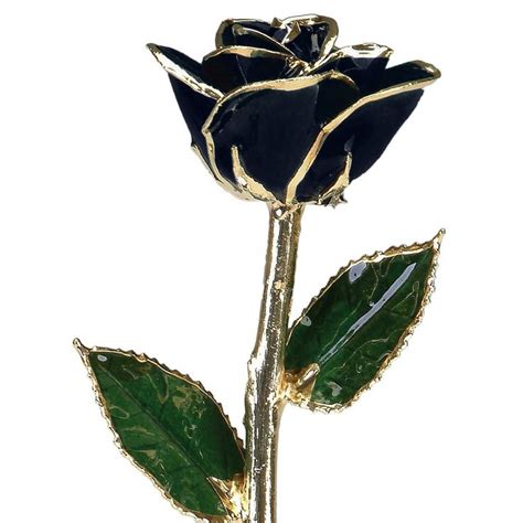 Black 24k Gold Dipped Rose Real Rose Dipped In Gold T Box Packed