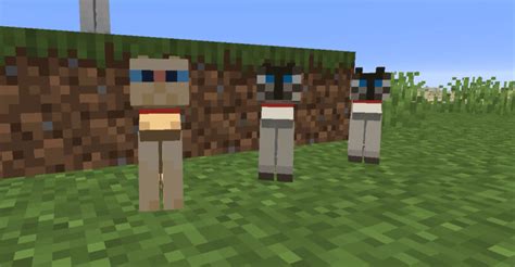 How To Tame A Cat In Minecraft 2021 Pro Game Guides