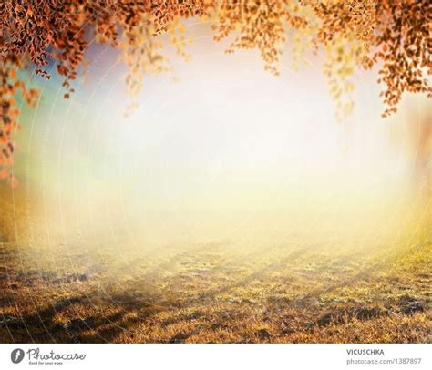 Autumn Nature Background Blurred A Royalty Free Stock Photo From