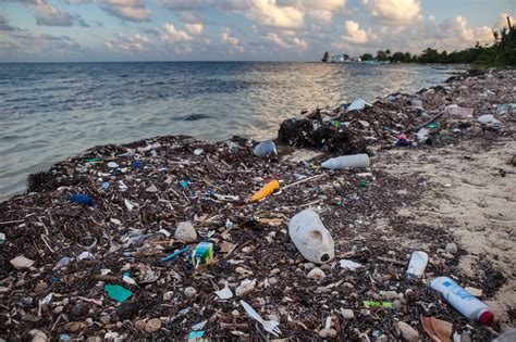 Cada Año 64 Millones De Toneladas De Residuos Acaban En El Mar By