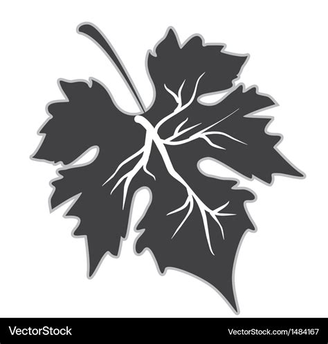 Grape Leaf Royalty Free Vector Image Vectorstock