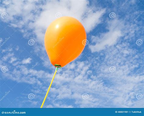 Balloons In The Sky Stock Photo Image 48801981