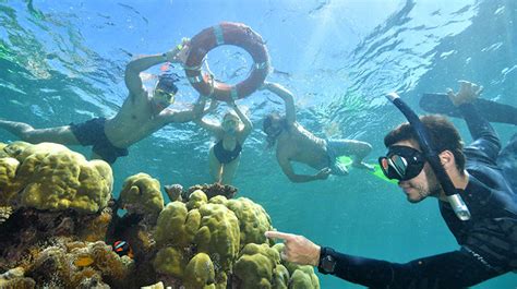 Great Barrier Reef Cruise With Snorkelling Full Day Cairns Adrenaline