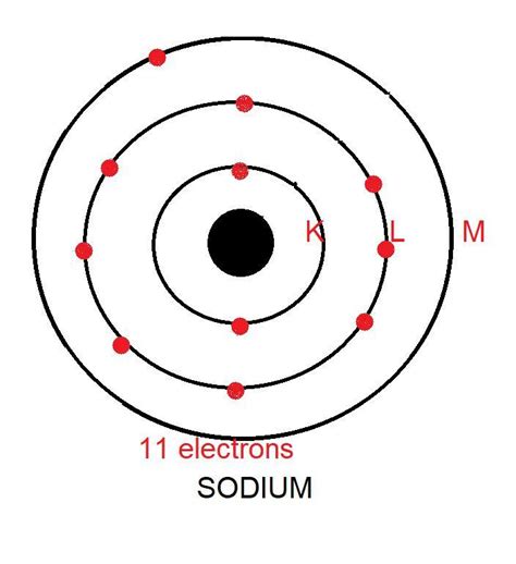 draw a sketch of bohr s model of a sodium atom