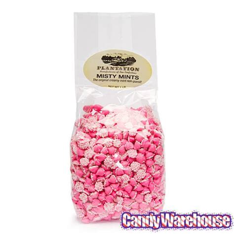 Smooth And Melty Mini Nonpareil Mint Chocolate Chips Pink 16 Ounce