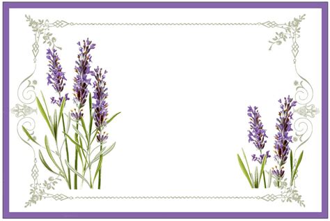 Free Printable Lavender Labels And Stickers Graphics Fairy Lavender