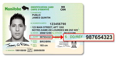 Location Of Document Number In Manitoba Identification Card