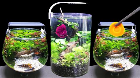 Top 2 Amazing How To Make Desktop Aquarium Diy Nano Aquascape No Co2