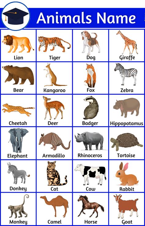 All Animals Name Archives English Grammar Study
