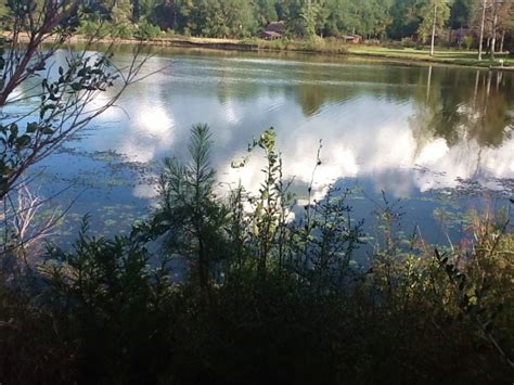 Perfect for someone wanting a large homesite to build their perfect lake house getaway. Point A Lot 10 : Land for Sale in Andalusia, Covington ...